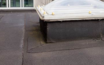 disadvantages of Deanscales flat roofs