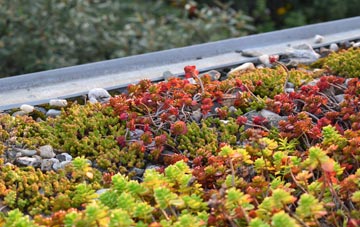 the cost of Deanscales green roof installation