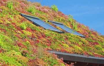 Deanscales living roof systems